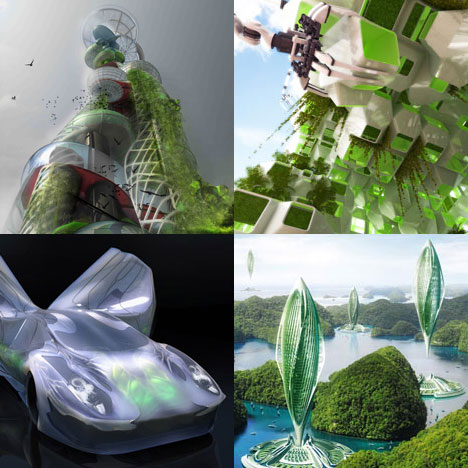 Algae archives
