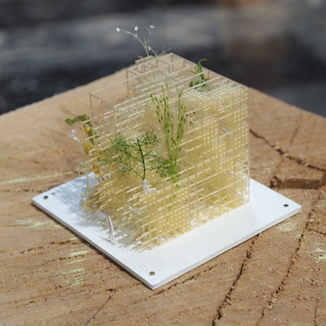 Toyo Ito's Japanese Pavilion wins best pavilion at Venice Architecture Biennale 2012 Toyo Ito's Japanese Pavilion wins best pavilion at Venice Architecture Biennale 2012