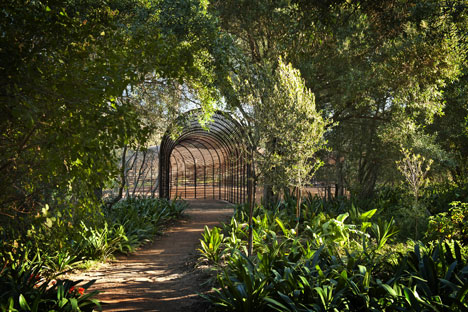 The Puff Adder by Patrice Taravella and Terry de Waal The Puff Adder by Patrice Taravella and Terry de Waal