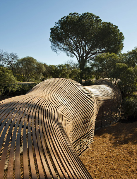 The Puff adder by Patrice Taravella and Terry de Waal The Puff adder by Patrice Taravella and Terry de Waal