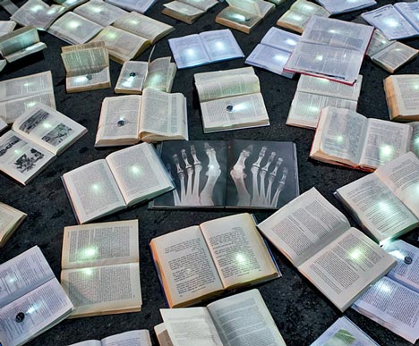 Literature Versus Traffic by Luzinterruptus