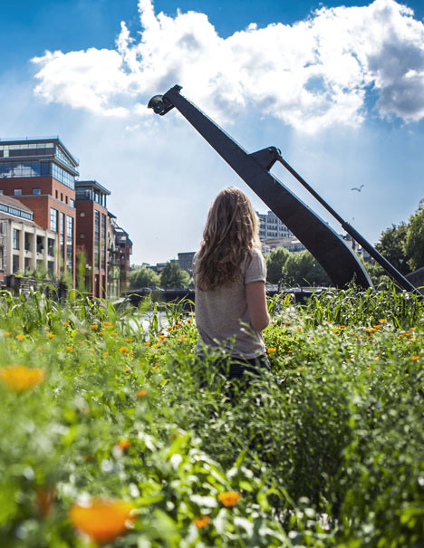 Seeds of Change by Gitta Gschwendtner and Maria Thereza Alves