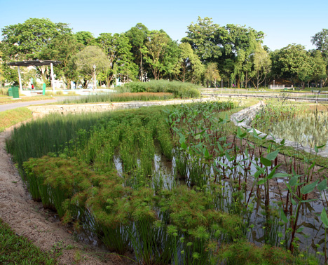 Kallang River Bishan Park by Atelier Dreiseitl Kallang River Bishan Park by Atelier Dreiseitl