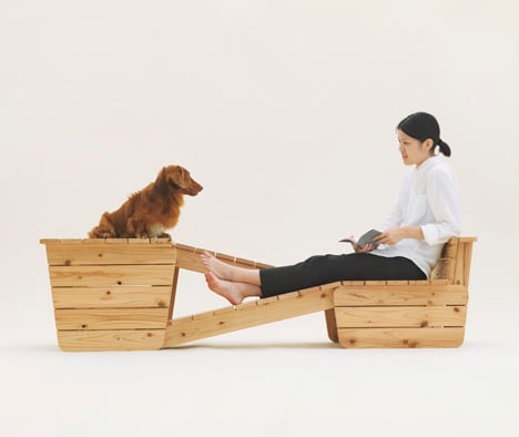 Architecture for Dogs
