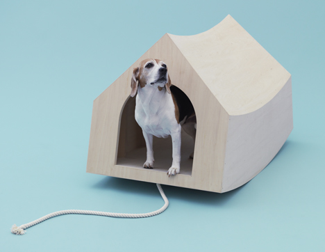 Architecture for Dogs