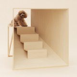 Architecture for Dogs