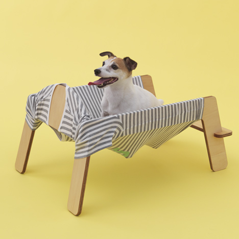 Architecture for Dogs
