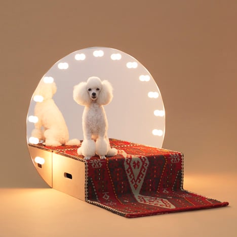 Architecture for Dogs