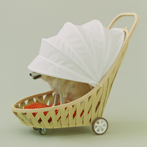 Architecture for Dogs