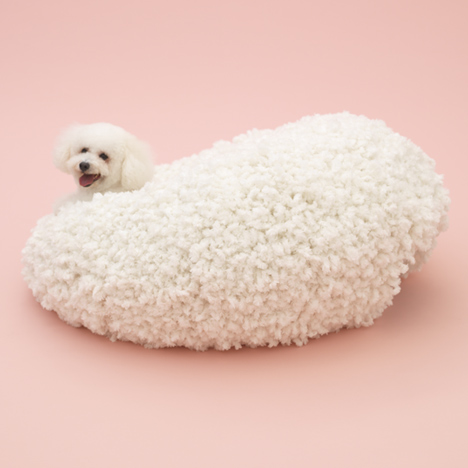 Architecture for Dogs