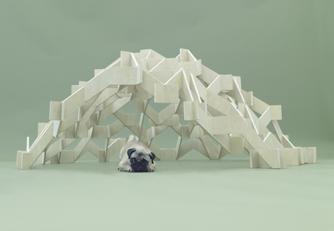 Architecture for Dogs