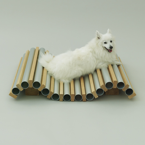 Architecture for Dogs
