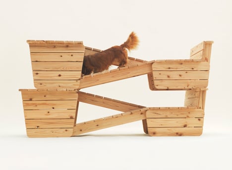 Architecture for Dogs