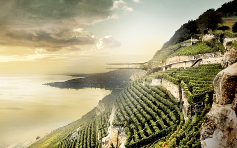 Wine Museum in Lavaux by Mauro Turin Architectes Wine Museum in Lavaux by Mauro Turin Architectes
