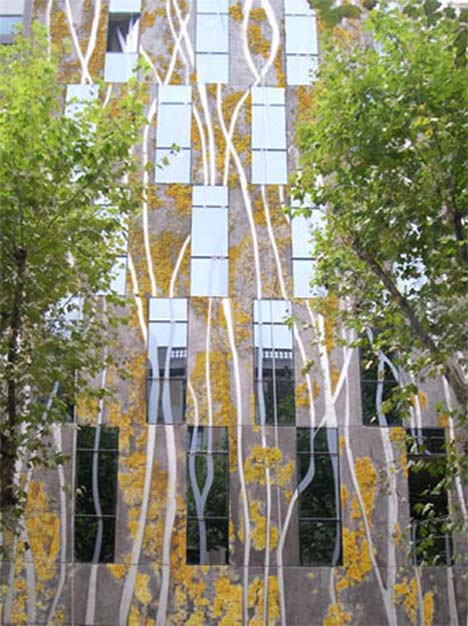 Researchers develop biological concrete Researchers develop biological concrete