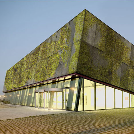 Researchers develop biological concrete