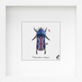 Taxi-Dermy lenticular prints by Joe Jin