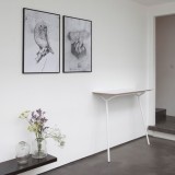 Y Collection by A + A Cooren