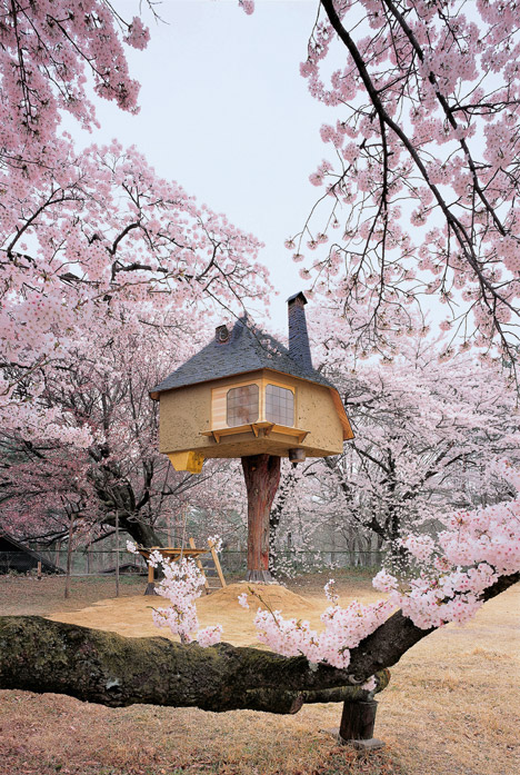 Competition: three copies of Tree Houses to be won