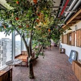 Google Tel Aviv by Camenzind Evolution