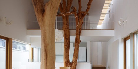 Slideshow feature: indoor forests