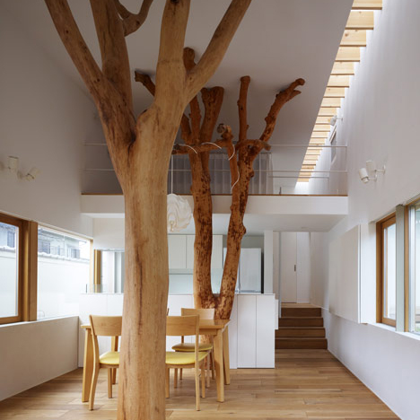 Slideshow feature: indoor forests