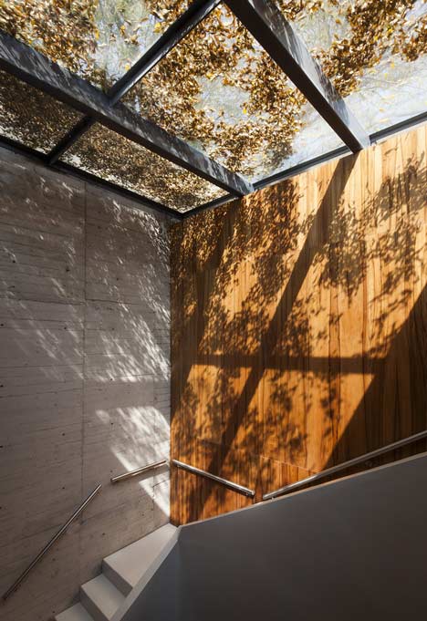Elena Garro Cultural Centre by Fernanda Canales and Arquitectura 911sc Elena Garro Cultural Centre by Fernanda Canales and Arquitectura 911sc