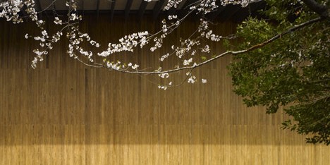 Teikyo University Elementary School by Kengo Kuma and Associates