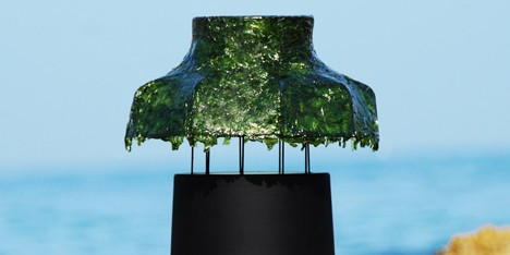 Marine Light by Nir Meiri