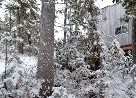 Alpine Cabin by Scott & Scott Architects