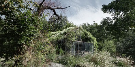 Dezeen Mail #153