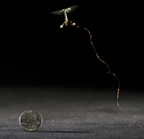 Tiny robotic insect takes flight