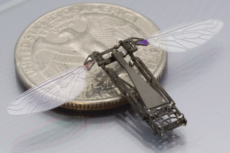 Tiny robotic insect takes flight