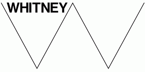 Whitney Graphic Identity by Experimental Jetset