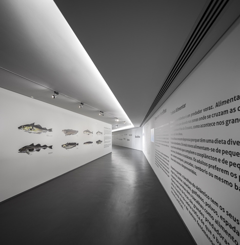 Ílhavo Maritime Museum Extension by ARX Portugal Ílhavo Maritime Museum Extension by ARX Portugal