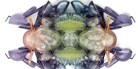 The Aesthetic of Fears 3D-printed jewellery by Dorry Hsu