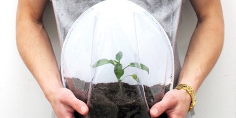 Plant pregnancy bag by Alice Kim