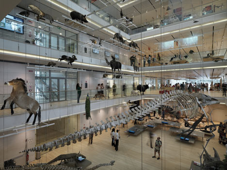 MuSe Museum by Renzo Piano