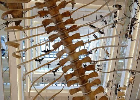 MuSe Museum by Renzo Piano