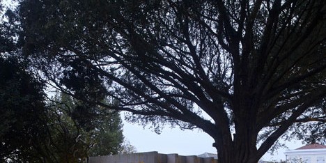 PINC Pavilion by Clínica de Arquitectura