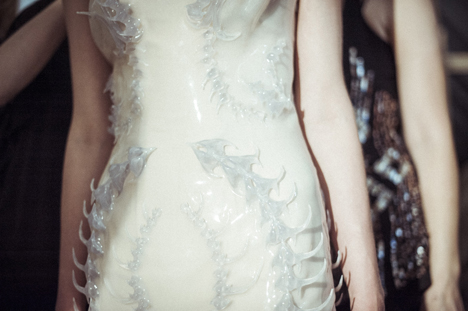 Wilderness Embodied by Iris van Herpen
