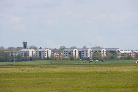 Carbuncle Cup 2013 shortlist
