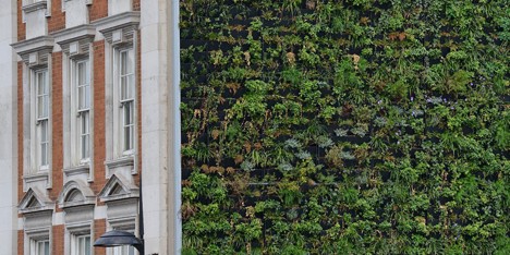 London's largest living wall designed to reduce urban flooding.