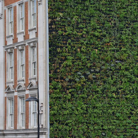 London's largest living wall designed to reduce urban flooding.