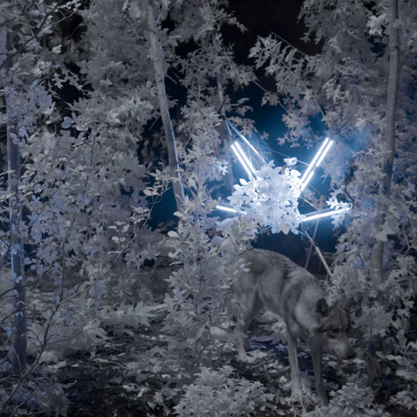 And Nowhere a Shadow by Cohen Van Balen at Future Perfect