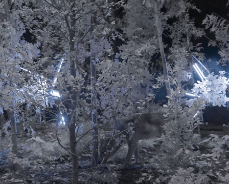 And Nowhere a Shadow by Cohen Van Balen at Future Perfect