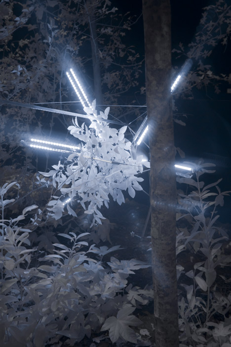 And Nowhere a Shadow by Cohen Van Balen at Future Perfect