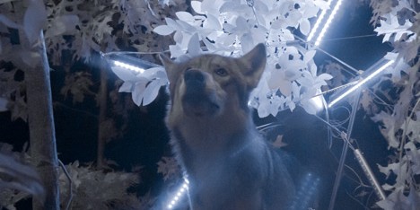 And Nowhere a Shadow by Cohen Van Balen at Future Perfect