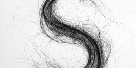 Hair Typography by Monique Goossens