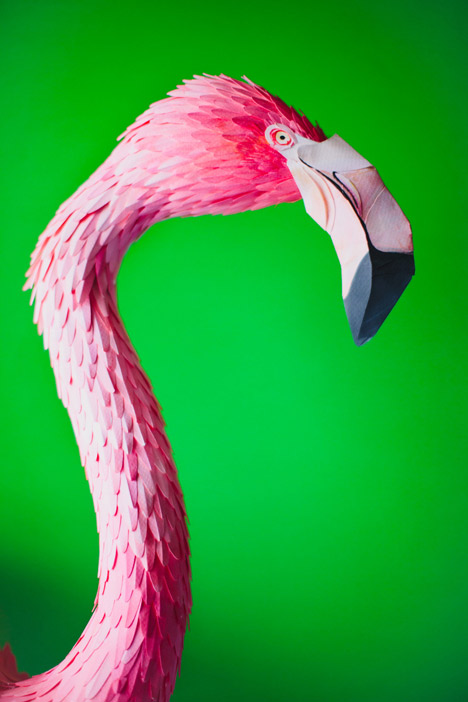 Paper birds by Diana Beltran Herrera
